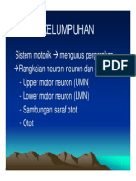 Bms166 Slide Kelumpuhan