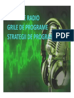 Formate Radio, Grile de Programe, Strategii de Programare