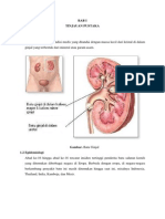 Laporan Kasus Nefrolitiasis