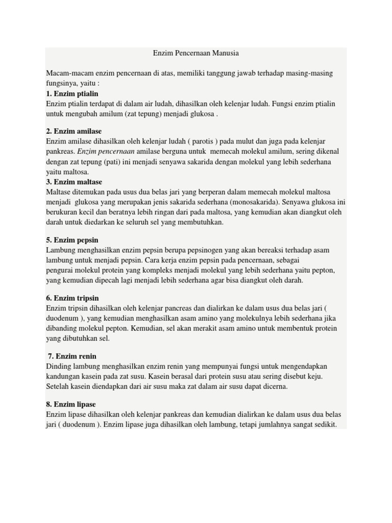 Enzim Pencernaan Manusia Pdf