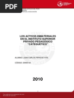 Periche Vite Juan Carlos Activos Inmateriales (1)
