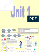 Bio Unit 1 and Unit 2 Revision Posters - Comprehensive