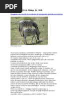 AVALIAÇÃO MÉDICOS