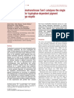 2008 Tryptophan-based Pigment in Ustilago Mol Microbiol