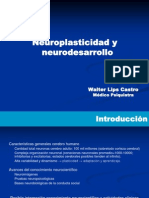 Clase 3 Neuroplasticidad Neurodesarrllo y Funciones Cognitivo Emocionales DR Lips 1220243802813375 8