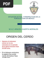 situación actual y perspectivas de porcicultura en Mexico 2014.pptx