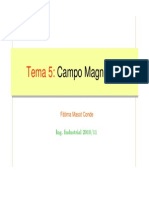 tema5-campo magnetico.pdf