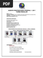 01 - Agente Penitenciário Federal i