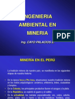 Ingenieria Ambiental en Mineria-Exposicion