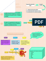 Aclaramiento Plasmático Renal