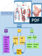 Fisiología Respiratoria