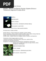 Intoxicacoes Por Plantas Toxicas