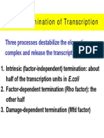 62 Gene Regulation