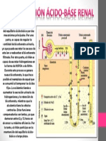 Regulación Ácido Báse Renal