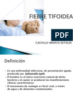 Fiebre Tifoidea