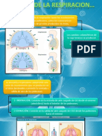 MECANICA_RESPIRACION