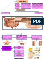 FISIOLOGIA DIGESTIVA