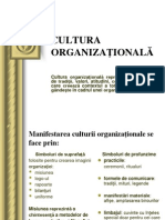 12 Cultura Organizaţională
