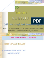 Labio Palato Gnato Scissis