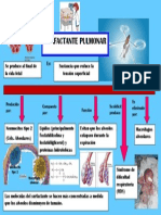 Surfac Fisio B 2