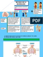 MECANFISIOB3