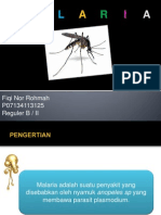 fiqimalaria ppt