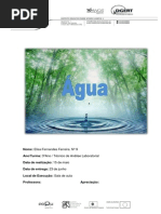 Agua Relatorio Final