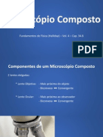 Seminário 2 - Microscópio Composto