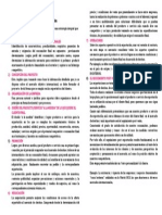 8 Etapas de La Estrategia Integral para La Exportación