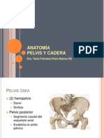 Anatomia Pelvis y Cad Era