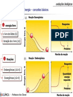 08 Oxidaes PDF_Prof Ademar