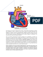 Corazón y Bulbopatia