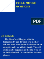 3 Cell Cycle, Mitosis and Meiosis