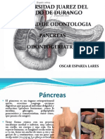 Pancreas