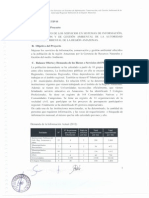 Resumen Ejecutivo PIP ARA PDF