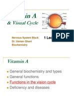 Vitamin A's Role in Vision & the Visual Cycle