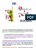Presentación2-GLUCIDOS 1