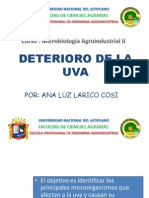 Deterioro de La Uva