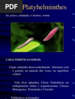 Aula 5 Platyhelminthe