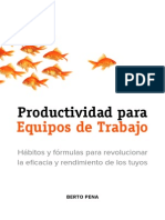 Productividad Equipos