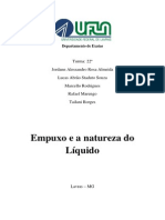 Experimento sobre empuxo e densidade de líquidos