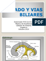 Higado y Vias Biliares