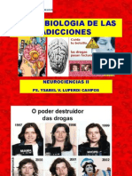 Neurobiologia de Las Adicciones