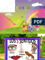 Los 5 Sentidos