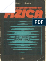 Fizica - Electricitate Si Magnetism