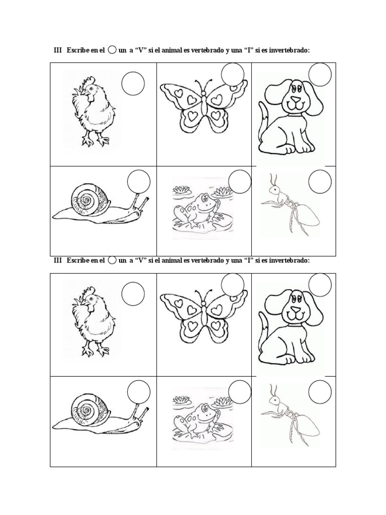 Animales Vertebrados E Invertebrados Para Recortar Animal Taxa