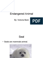 Endangered Animal[1][1]~2