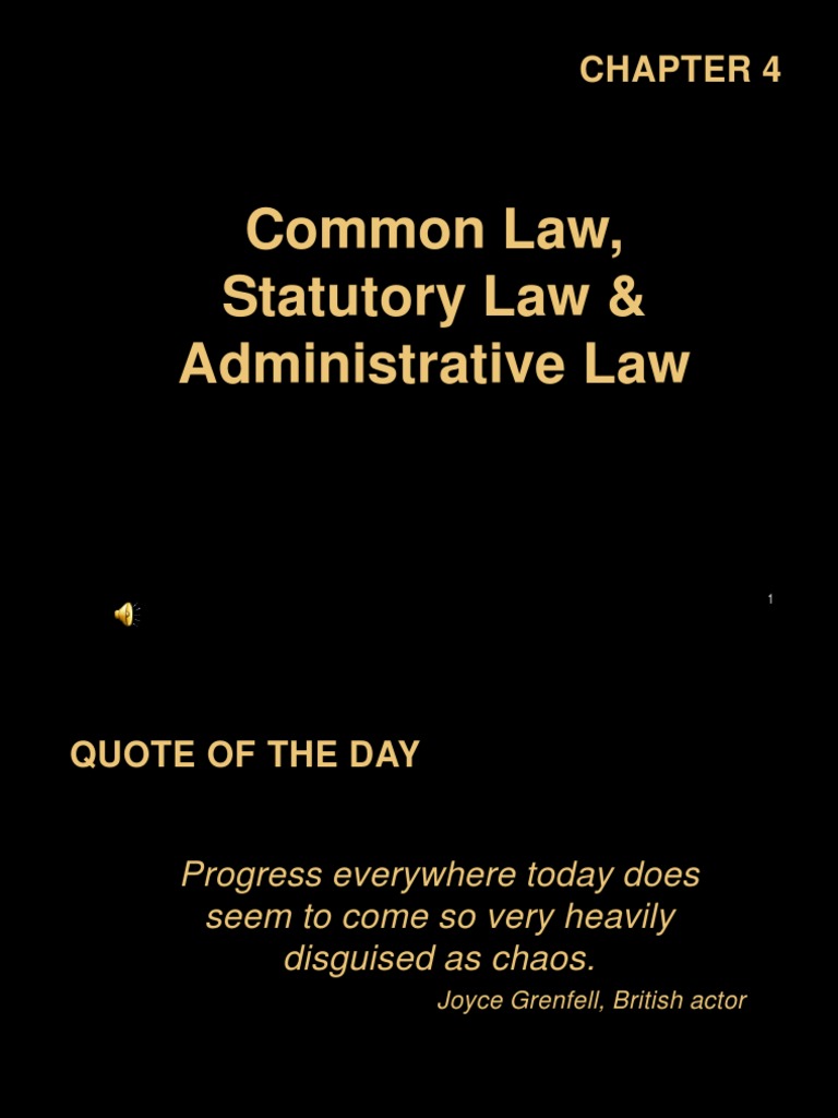 Common Law, Statutory Law, and Administrative Law PDF United States