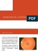 Anatomia de La Retina