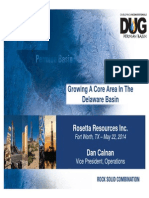 2014 ROSE DUG Permian Conf Presentation 0520 2014